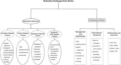 Healthcare professional perspectives on medication challenges in the post-stroke patient